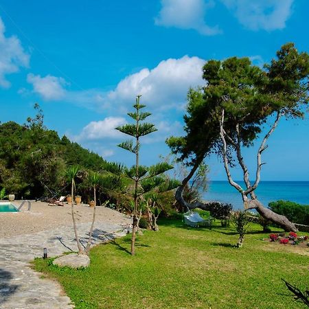 Azzuro Beach House - On The Beach & Private Pool, By Zantewize Василикос Экстерьер фото