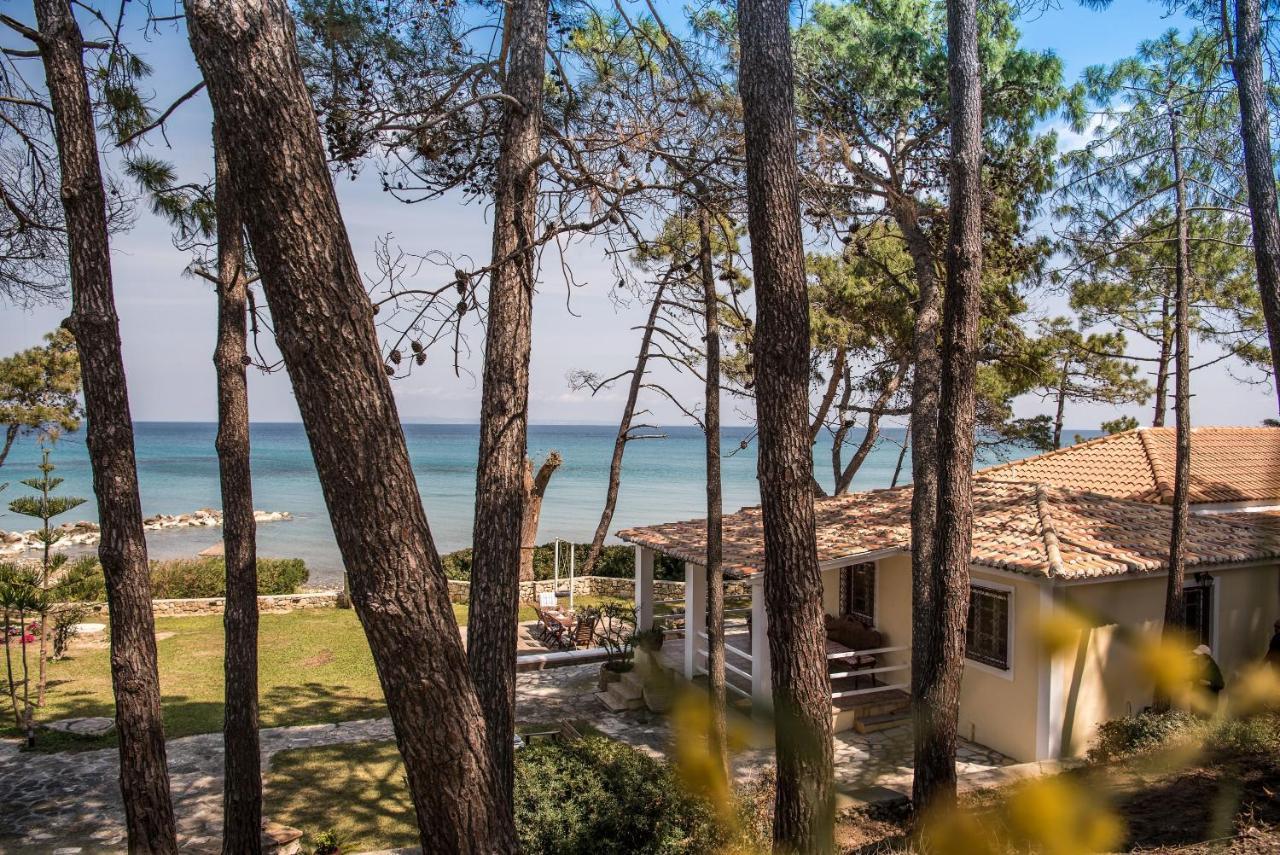 Azzuro Beach House - On The Beach & Private Pool, By Zantewize Василикос Экстерьер фото